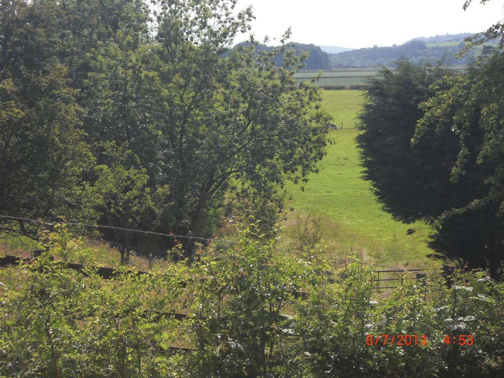 The Homestead Carnforth Exteriör bild